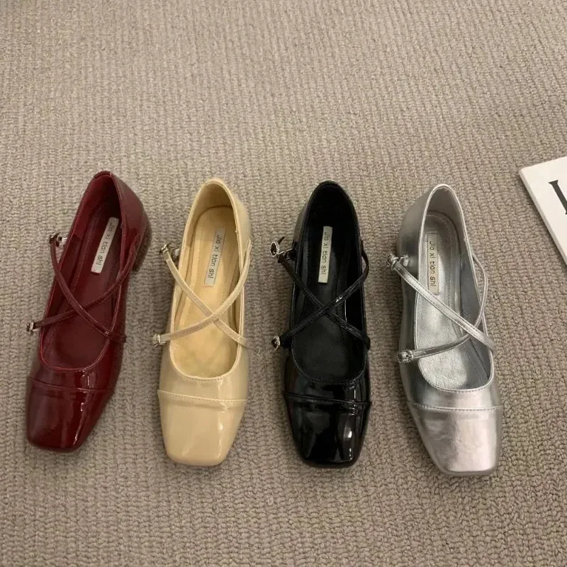 Hnzxzm Mary Jane Pumps Chunky Heel Silver Square Toed Single Women's Shoes 2024 New Spring Belt Buckle Shoes for Women