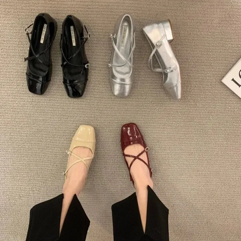 Hnzxzm Mary Jane Pumps Chunky Heel Silver Square Toed Single Women's Shoes 2024 New Spring Belt Buckle Shoes for Women